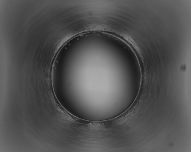 X0000089921089200707131405