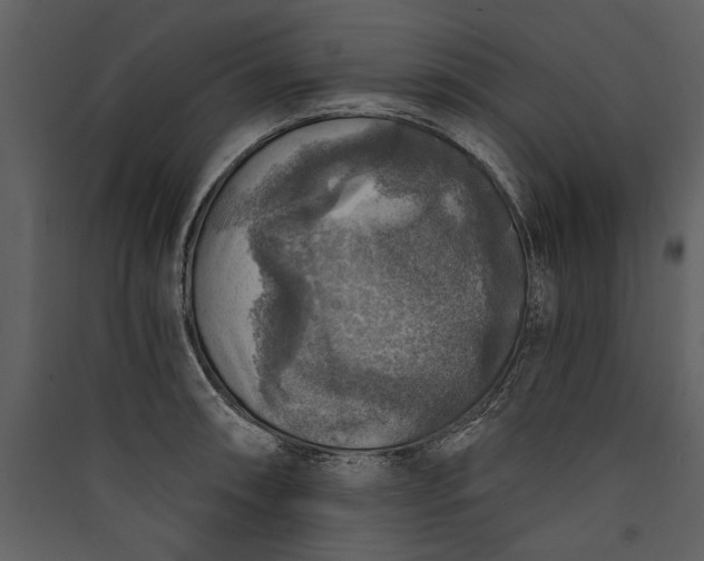 X0000089921090200707131405