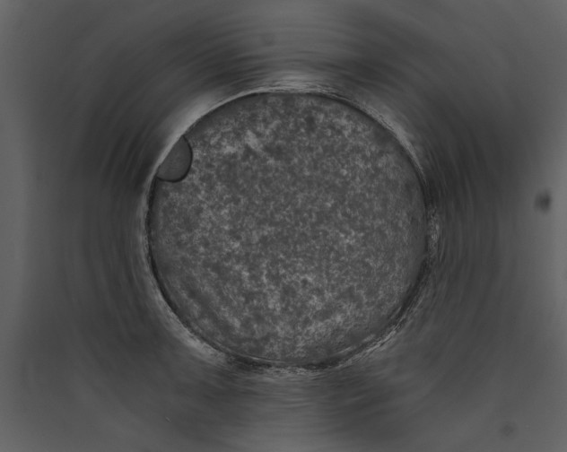 X0000089921091200707131405