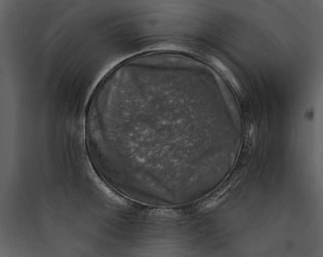 X0000089921092200707131405