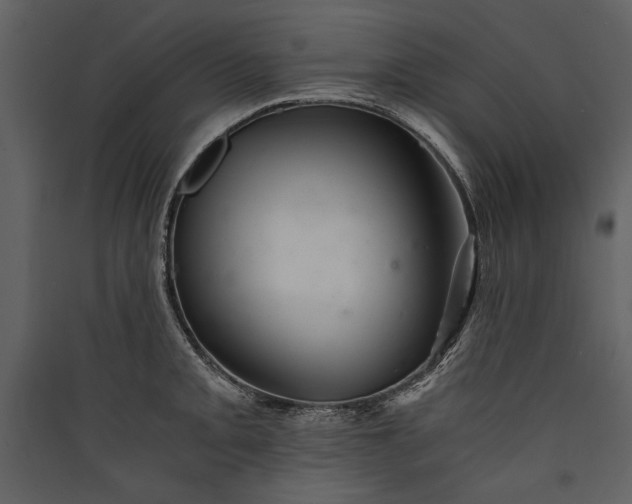 X0000089921093200707131405