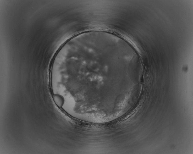X0000089921095200707131405