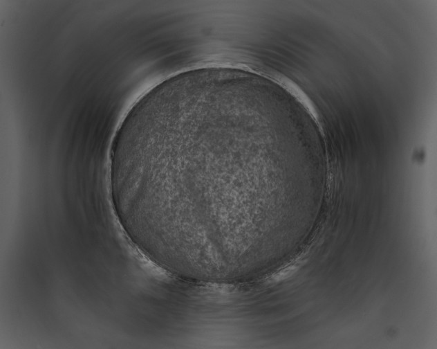 X0000089921096200707131405
