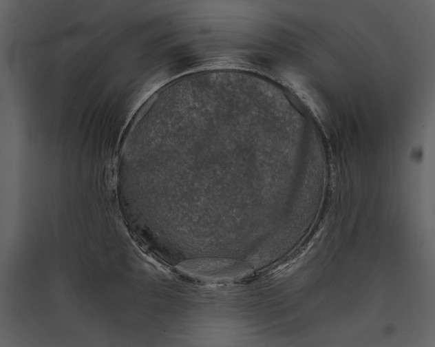 X0000089921097200707131405