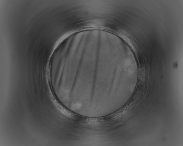 X0000089921098200707131405