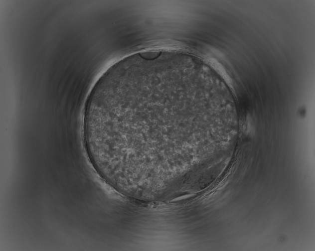 X0000089921099200707131405