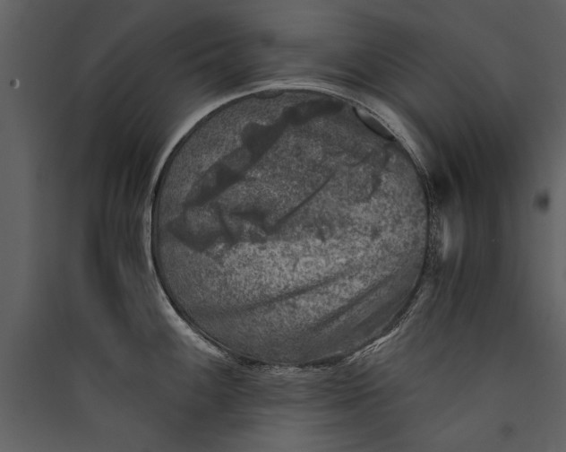 X0000089921100200707131405