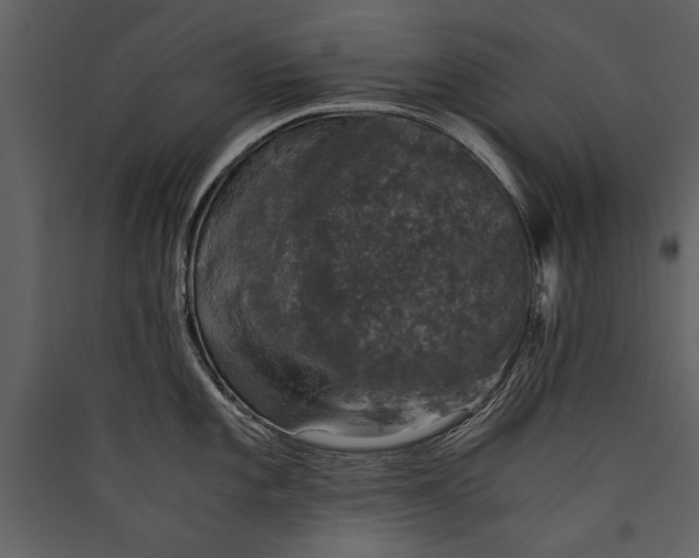 X0000089921101200707131405