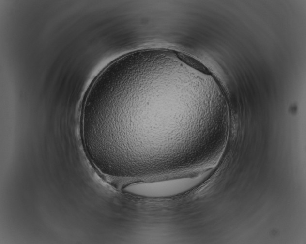 X0000089921102200707131405