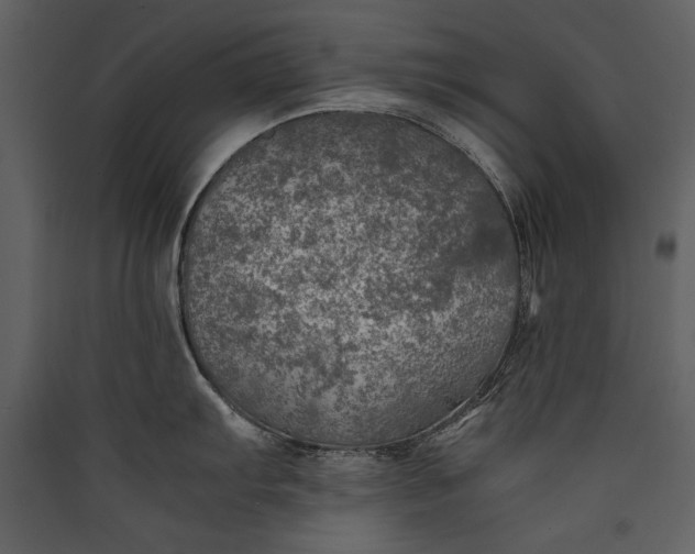 X0000089921103200707131405