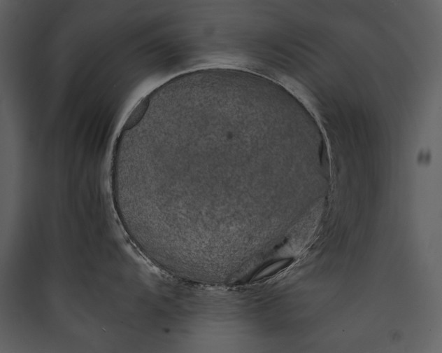 X0000089921104200707131405