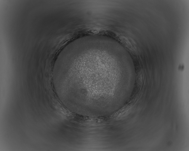 X0000089921105200707131404