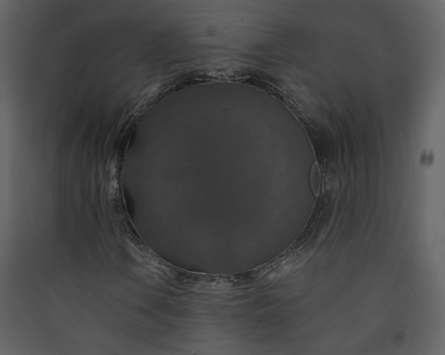 X0000089921106200707131404