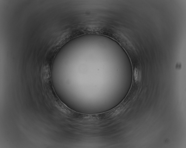 X0000089921107200707131404