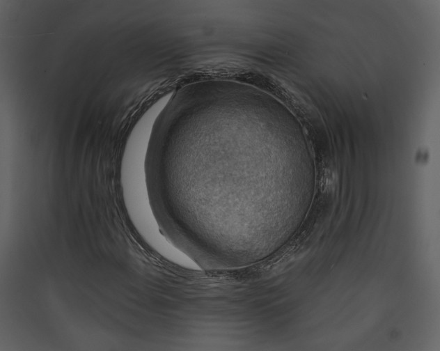 X0000089921108200707131404