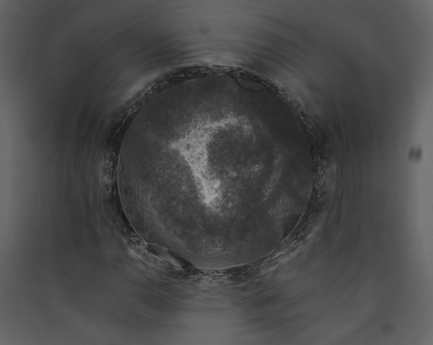 X0000089921110200707131404