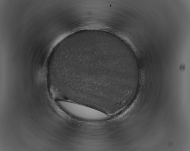 X0000089921114200707131404