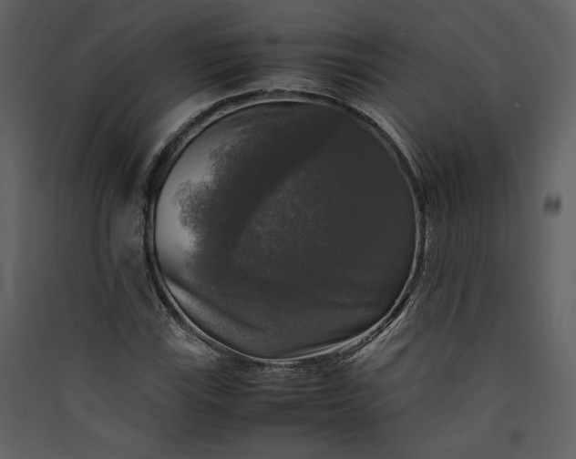 X0000089921115200707131404