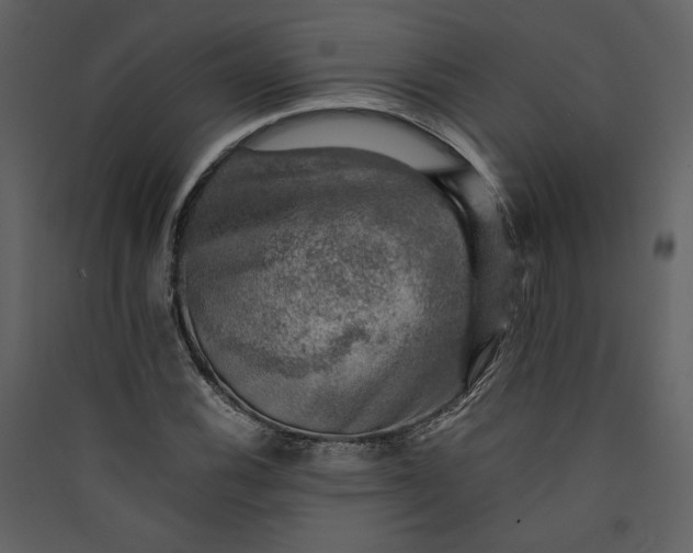 X0000089921116200707131404