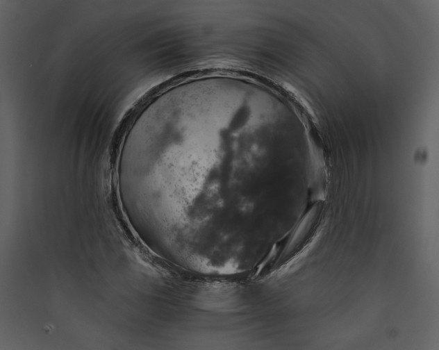 X0000089921117200707131404
