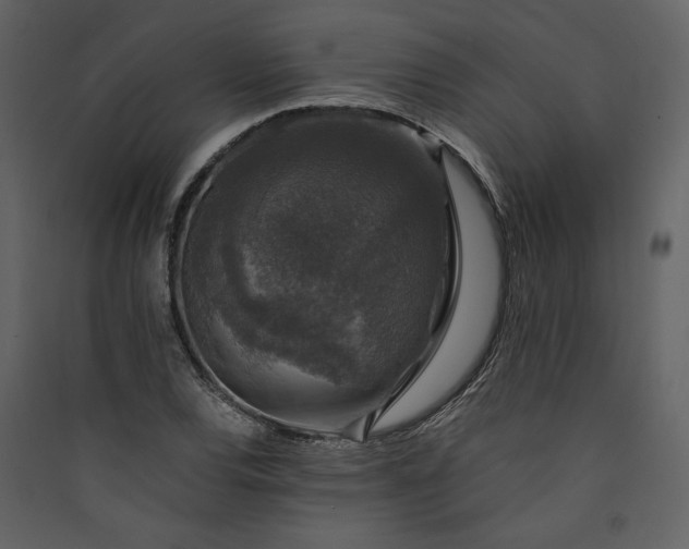 X0000089921120200707131404