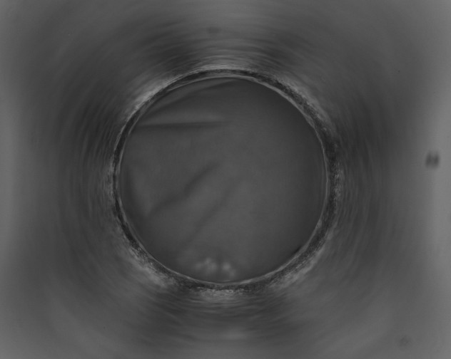 X0000089921121200707131404