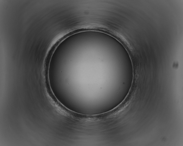 X0000089921122200707131404