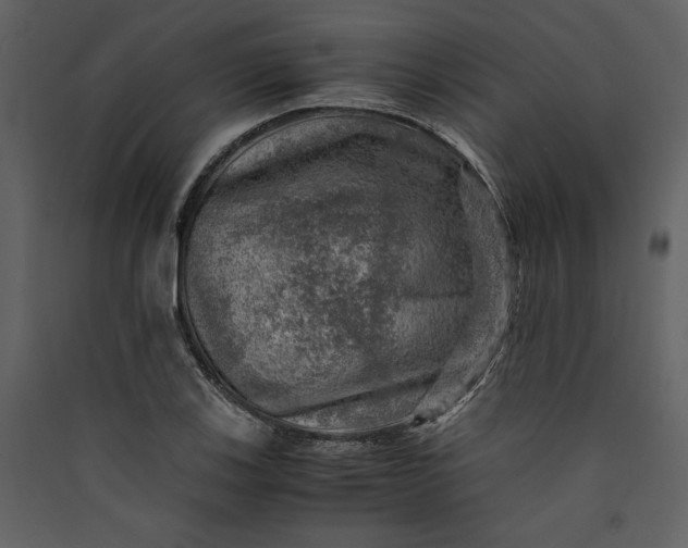 X0000089921123200707131404