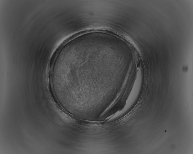 X0000089921124200707131404
