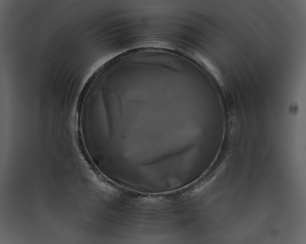 X0000089921125200707131404