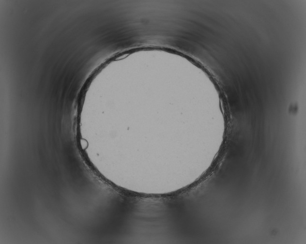 X0000089921126200707131404