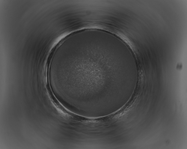 X0000089921127200707131405