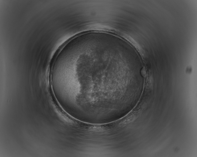 X0000089921128200707131405