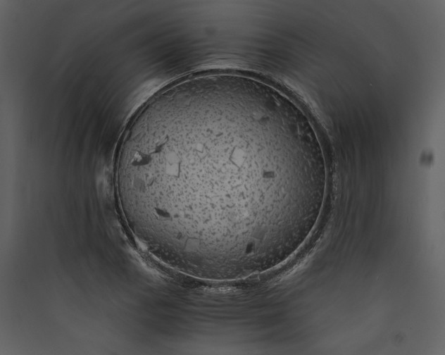 X0000089921129200707131405