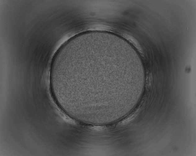 X0000089921130200707131405