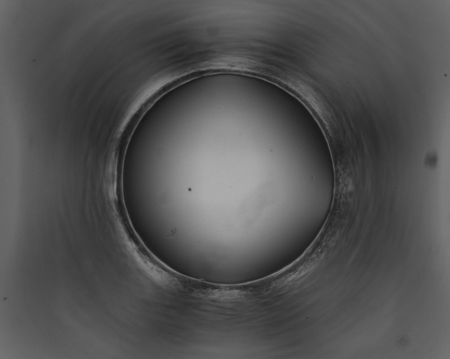 X0000089921131200707131405