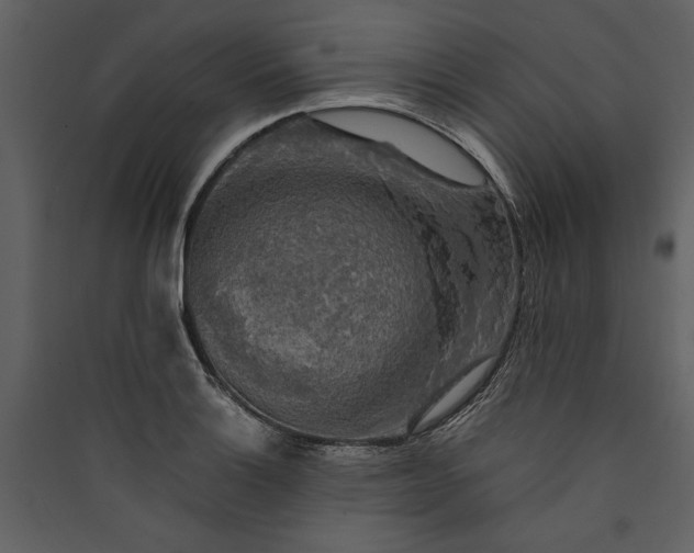X0000089921132200707131405