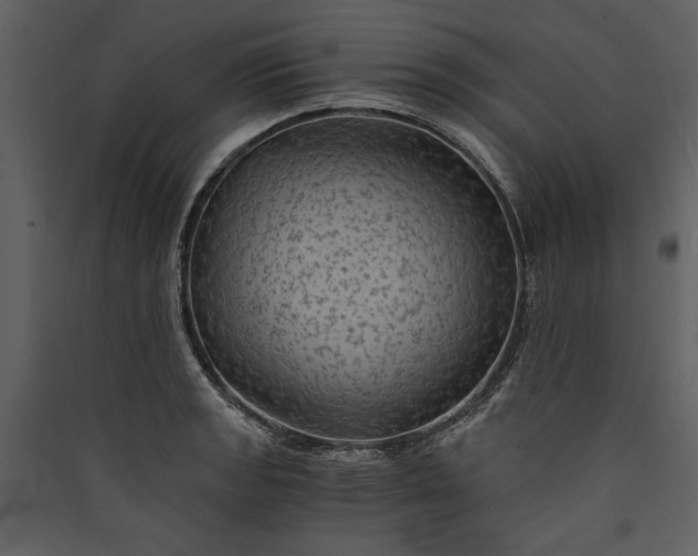X0000089921133200707131405