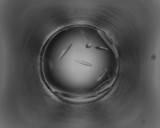 X0000089921134200707131405