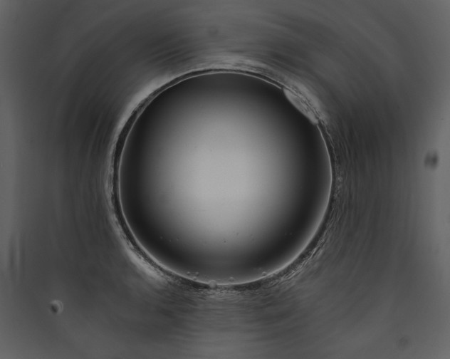 X0000089921136200707131405