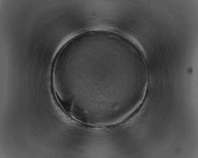 X0000089921138200707131405