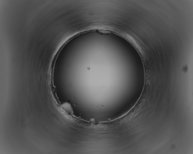 X0000089921140200707131405