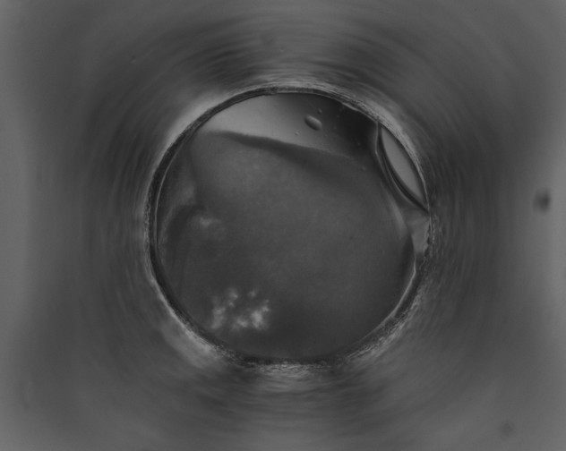X0000089921141200707131405
