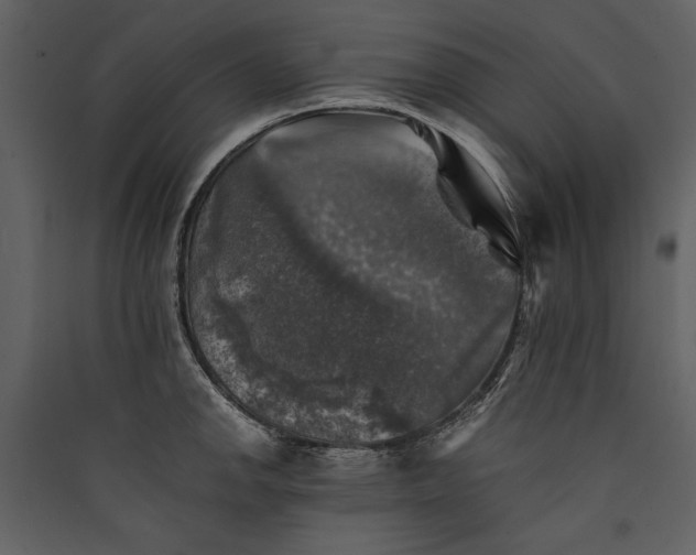 X0000089921142200707131405