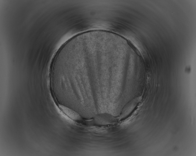 X0000089921143200707131405