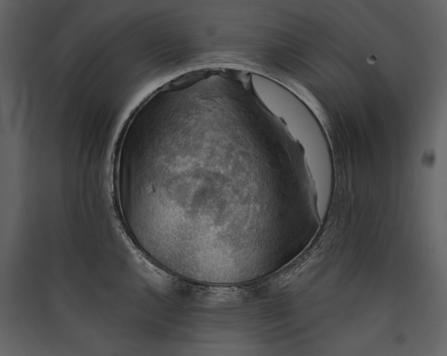 X0000089921144200707131405