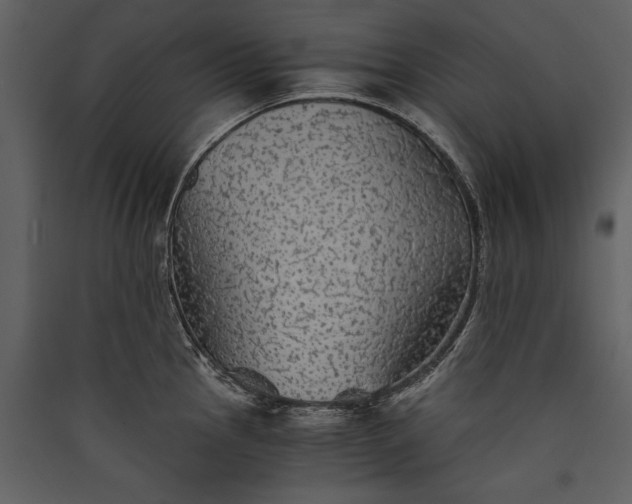 X0000089921145200707131405