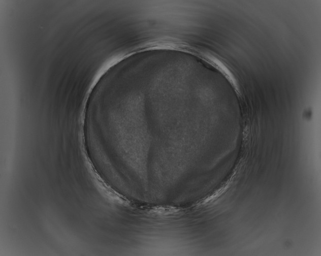 X0000089921146200707131405