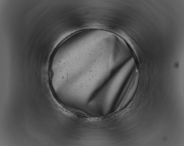 X0000089921147200707131405