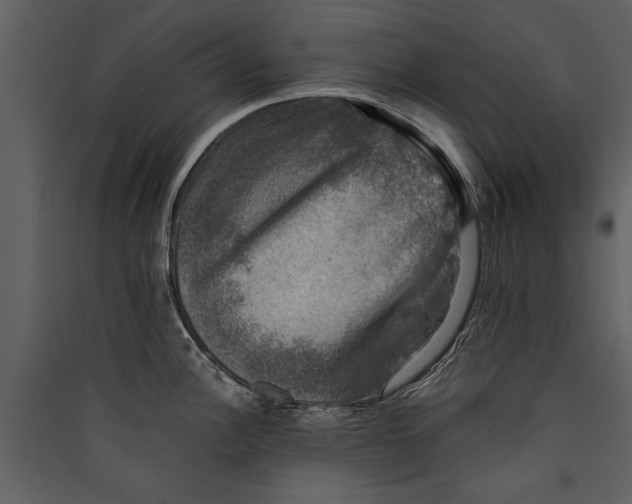 X0000089921148200707131405